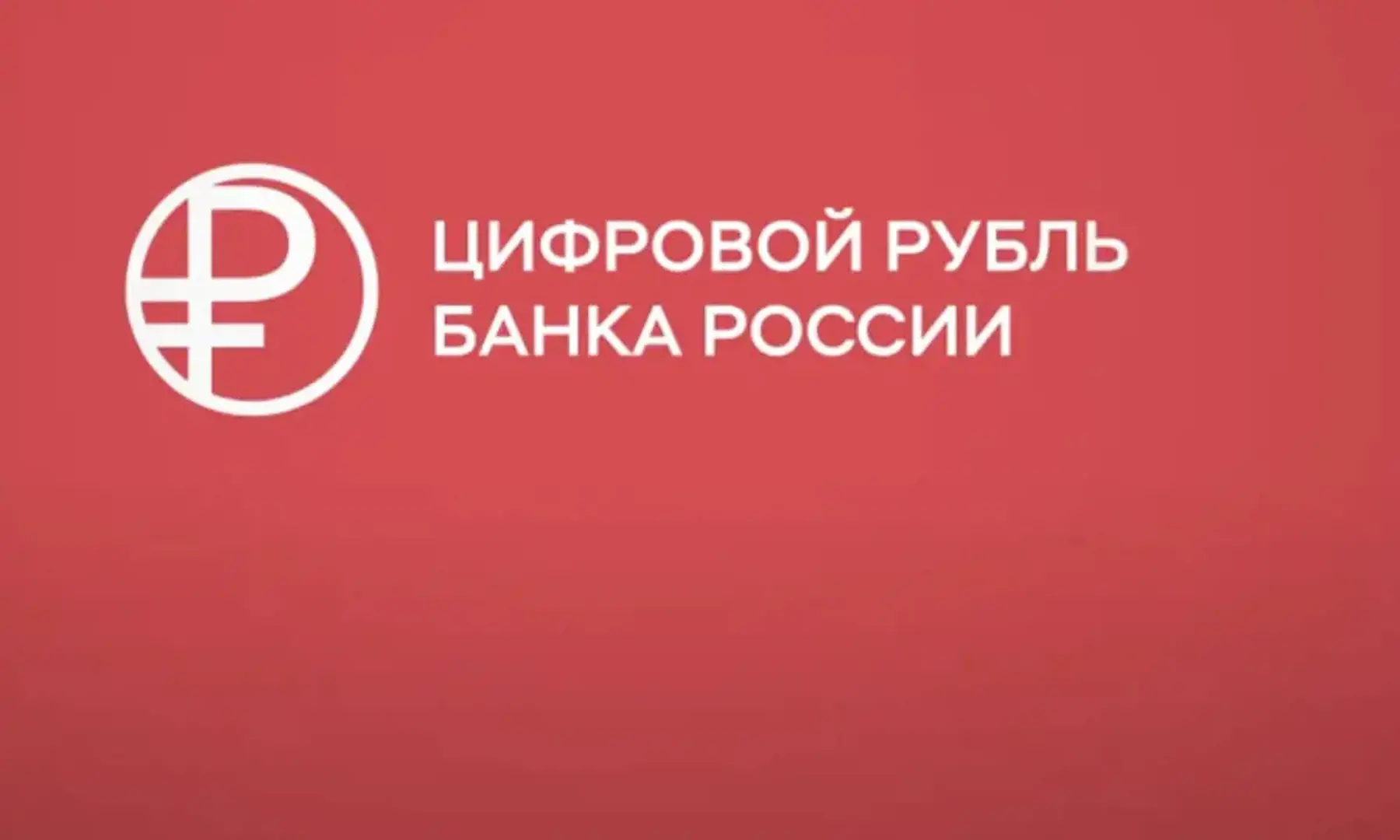 Рубль в цифре: зачем россиянам новый кошелёк и стоит ли бояться отмены наличных