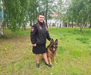 Служебная овчарка Деймон отметила профессиональный праздник в Братске