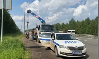Поездка на питбайке закончилась для 20-летнего братчанина административным делом