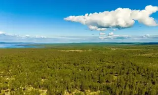 Новая охранная зона появилась в Иркутской области