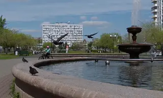 Погода в Братске 11–13 июля 