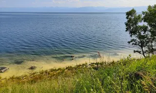 Жёлто-зелёная вода в Байкале: в чём причина?
