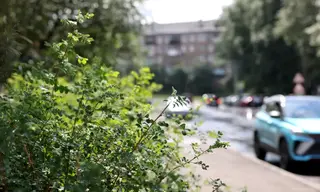 Погода в Братске 29 июля 