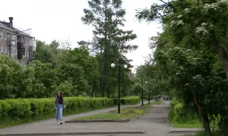 Погода в Братске 31 июля 