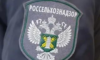 Россельхознадзор оштрафовал арендатора в Братском районе