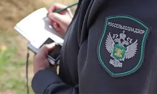 Арендатора сельхозземли у Новой Стенихи в Братске оштрафовали за небрежение