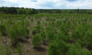 Собственник сельхозземли в Заларинском районе оштрафован на 100 тысяч рублей