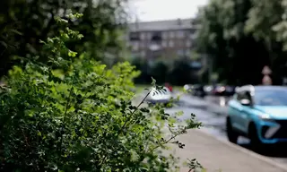 Середина августа будет прохладнее. Что говорят синоптики? 