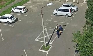 В полиции Братска прокомментировали конфликт инспекторов ДПС с пешеходом
