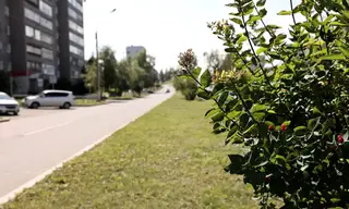 Погода в Братске 15–17 августа