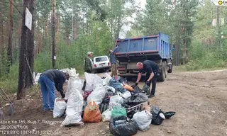 В дачном массиве Зяба в Братске оперативно убрали свалку, привлекавшую медведей