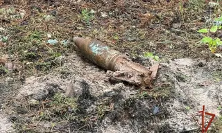 В лесополосе в Падунском районе Братска нашли и подорвали артиллерийский снаряд