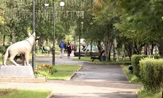 Погода в Братске 25 августа
