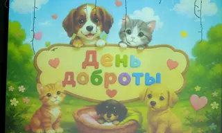Августовские встречи педагогов Братска: как научить детей делать выбор