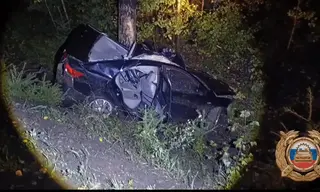 Водитель и пассажир погибли, вылетев в лес с федеральной трассы в Братске. Нужна помощь свидетелей