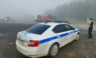В Заларях осудили дальнобойщика из Томской области, который ездил с поддельными правами
