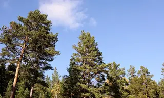 Погода в Братске 11 сентября