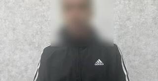 Бензопила, сапборд и палатка: в Михайловке обокрали дом, пока хозяин был в отъезде
