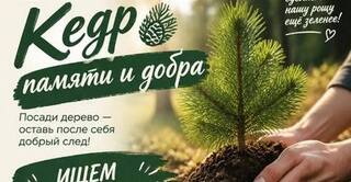 27 сентября в роще «Молодёжная» высадят 40 кедров