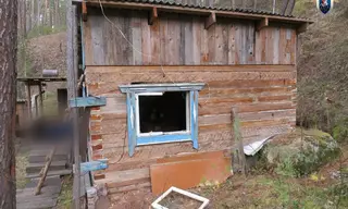  В Нижнеилимском районе в лесу нашли останки двух жертв медведей