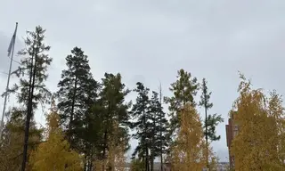 Погода в Братске 14 октября