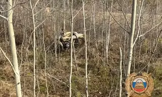 46-летний мотоциклист погиб неподалёку от Стенихи в Братске