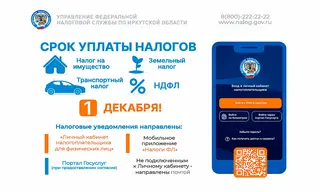 Как, когда и почему жителям Иркутской области нужно оплатить налоги за 2025 год