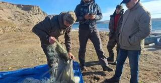 Из Братского водохранилища выловили 5,5 километра брошенных сетей
