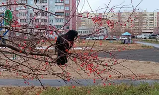 Погода в Братске 24–26 октября