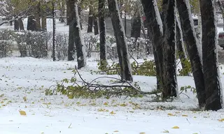 Погода в Братске 29 октября